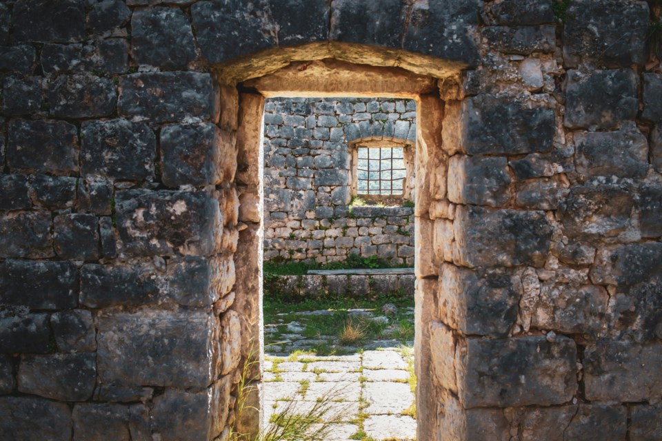 pexels-montenegrian-8435405