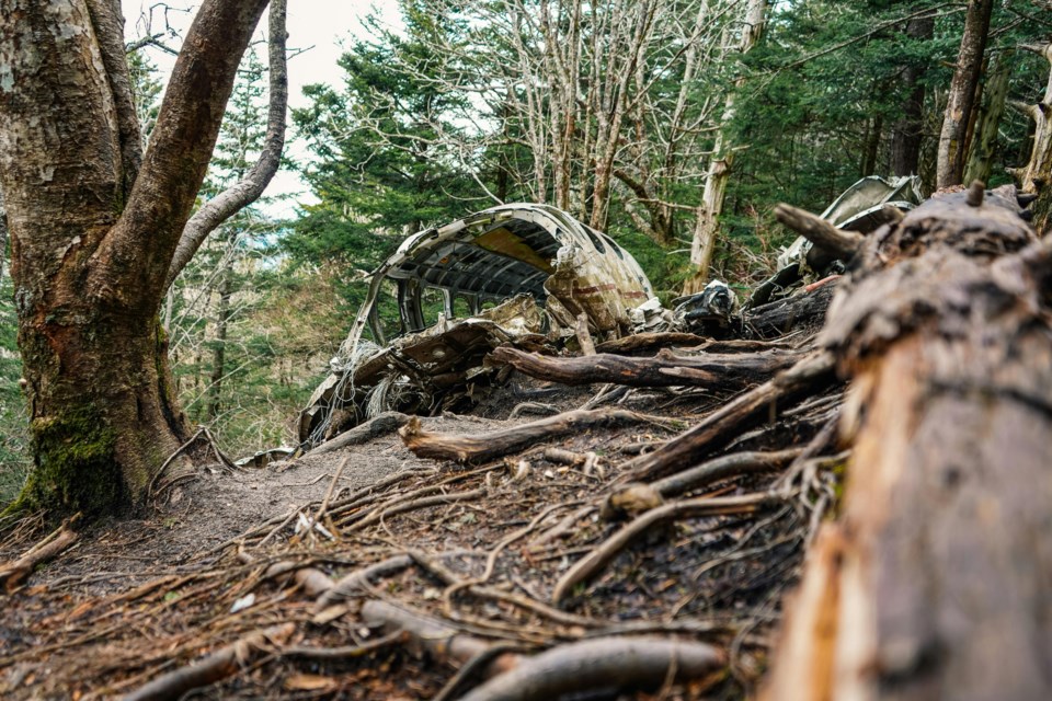 pexels-ybrphotography-8025515