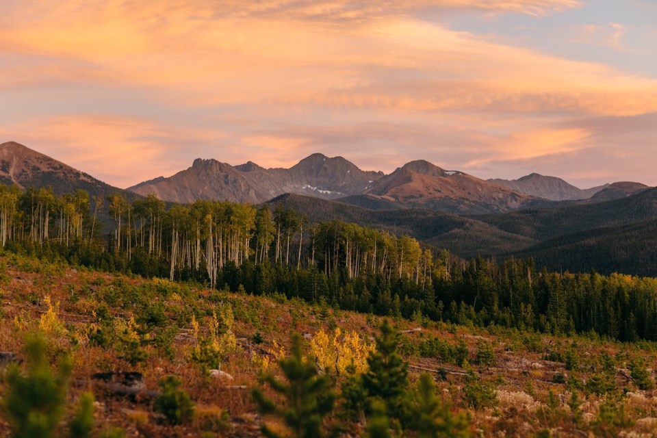 state-forest-state-park