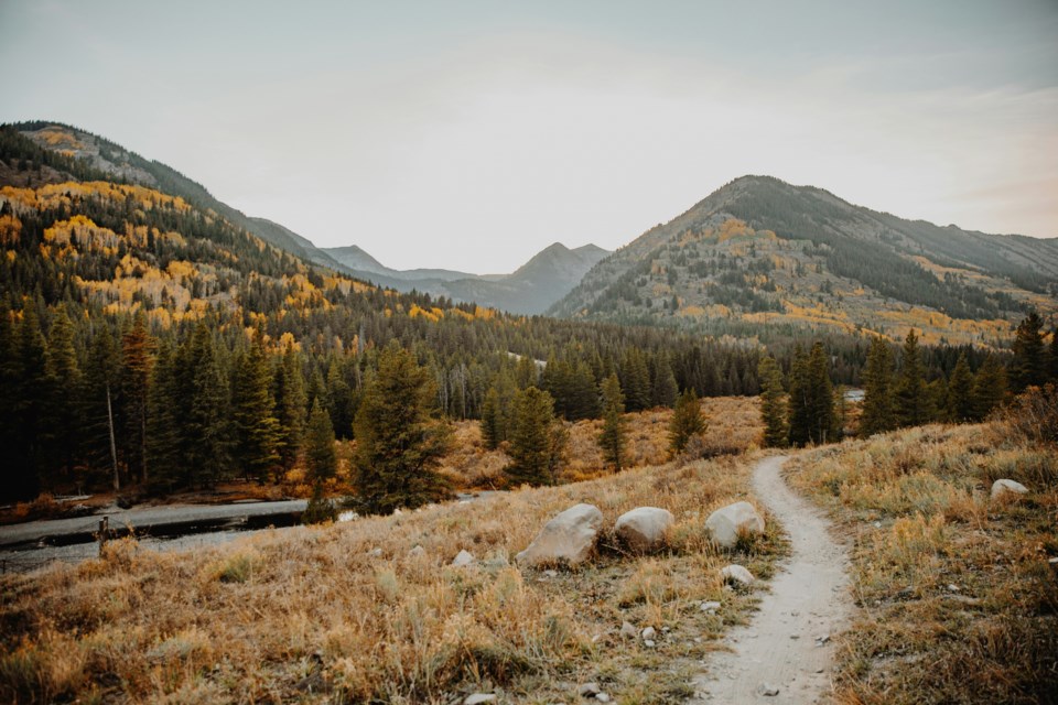 taylor-brandon-9qdudq_sws8-unsplash