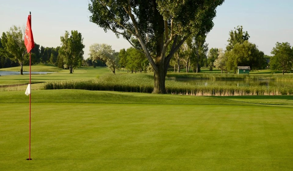 the-fox-hill-club