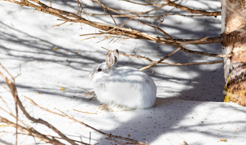 thomas-lipke-ebmcaeeulro-unsplash