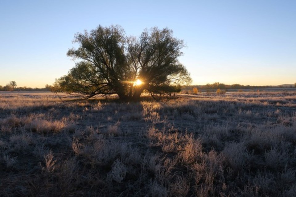 2024-01-11-ast-boulder-creek-site