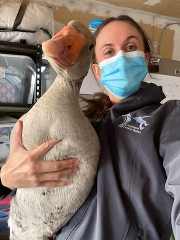 Good Life Refuge staff pose with Faith the goose