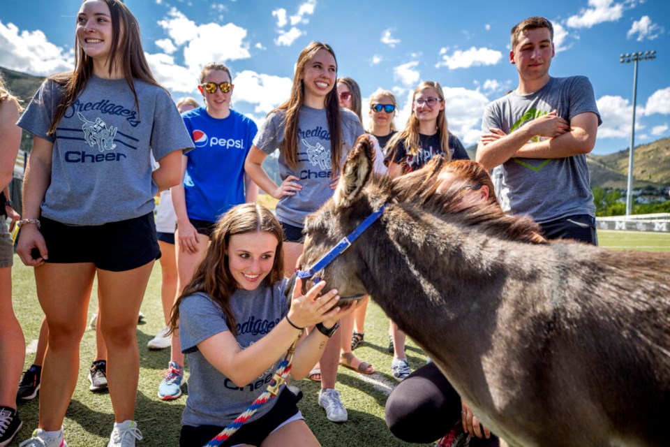 Colorado School of Mines cheerleader Teah Ausbun has a moment with Pepsi the burro. Aug. 24, 2021.