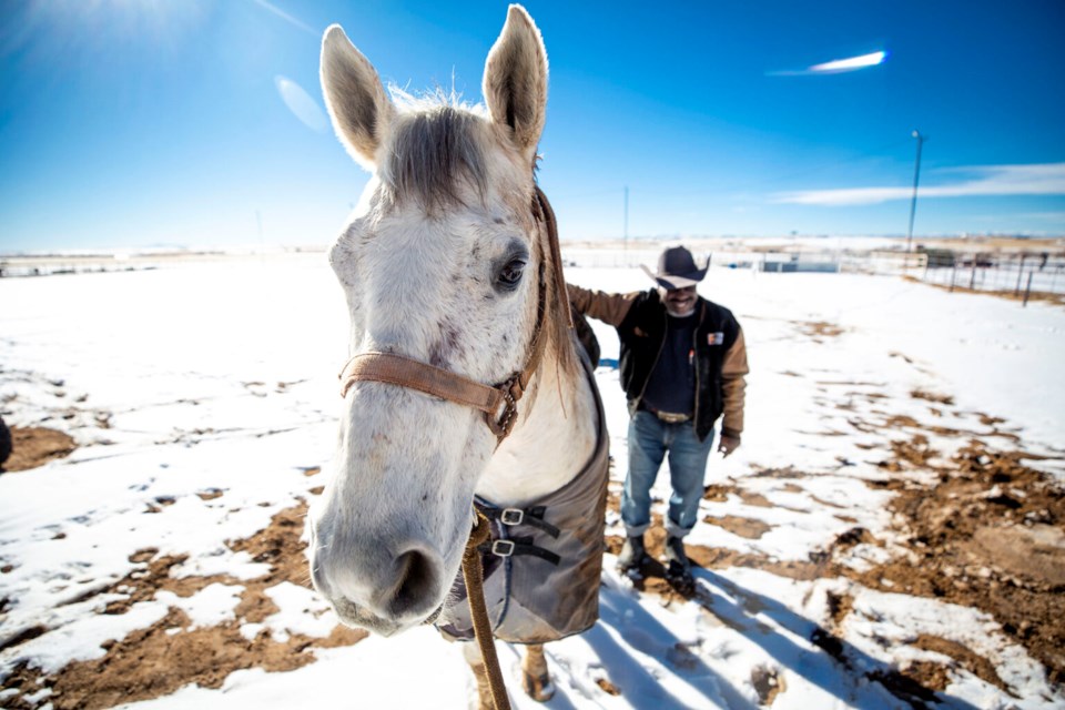 Maurice Wade works with Beer Money the horse on a ranch in Bennet, Colo. Jan. 29, 2022.