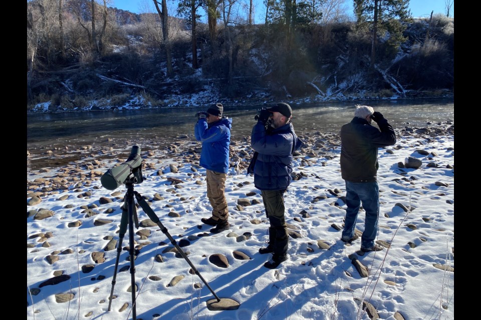 Birders Ted Robertson, from left, Dick Filby and Al Levantin counted 98 Canada geese in the Roaring Fork River near Aspen Glen on Dec. 18. The group spotted 42 species for the Christmas Bird Count in a single day.

Aspen Public Radio