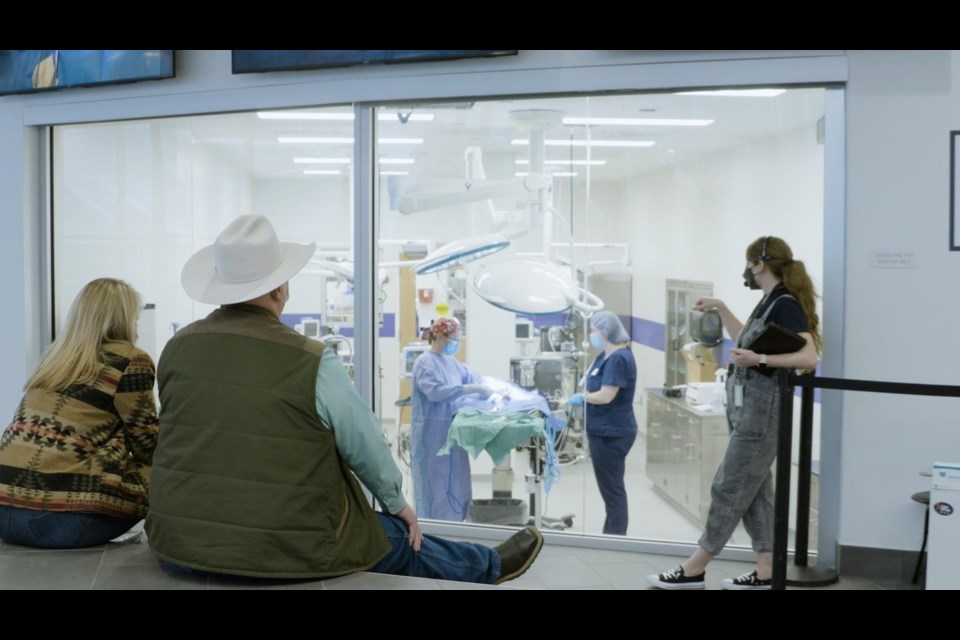 A live viewing of a surgery at The Dumb Friends League Veterinary Hospital at CSU Spur.

Rocky Mountain Public Media