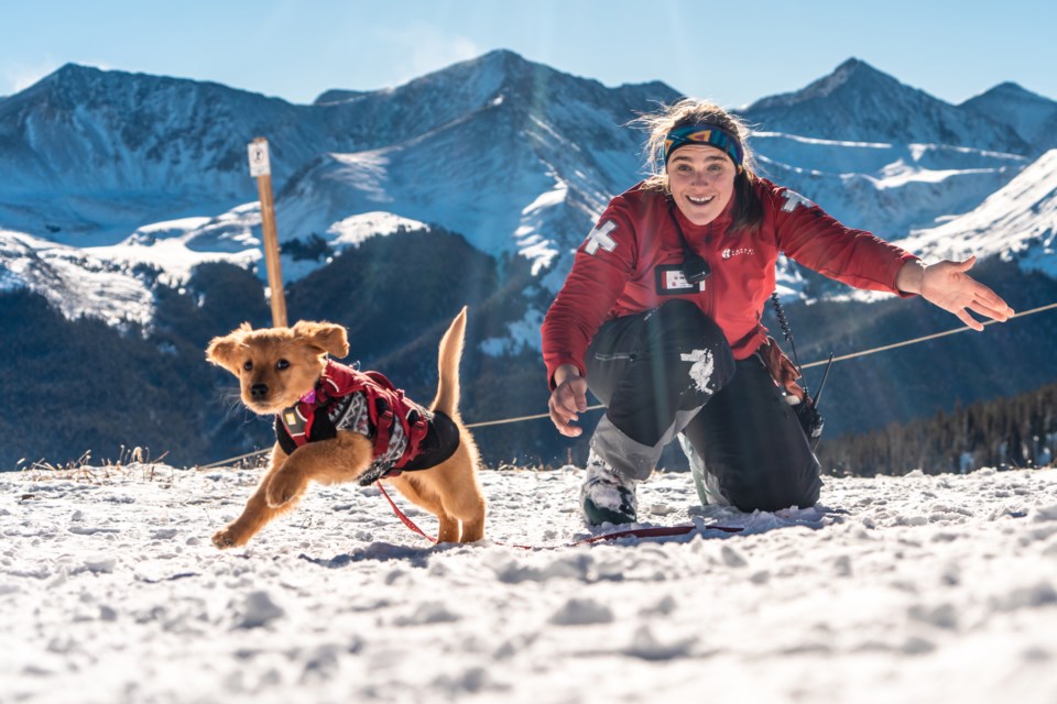 cm-winter-aley-the-avy-pup-12-6-23-cd-07
