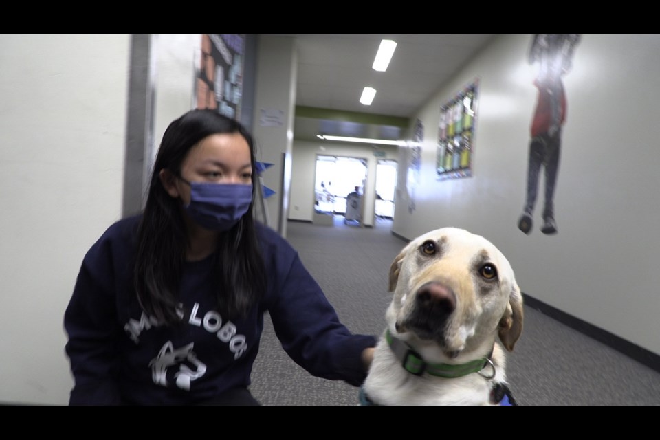 Fuego poses for the camera while getting pets in the hallway.

Rocky Mountain Public Media