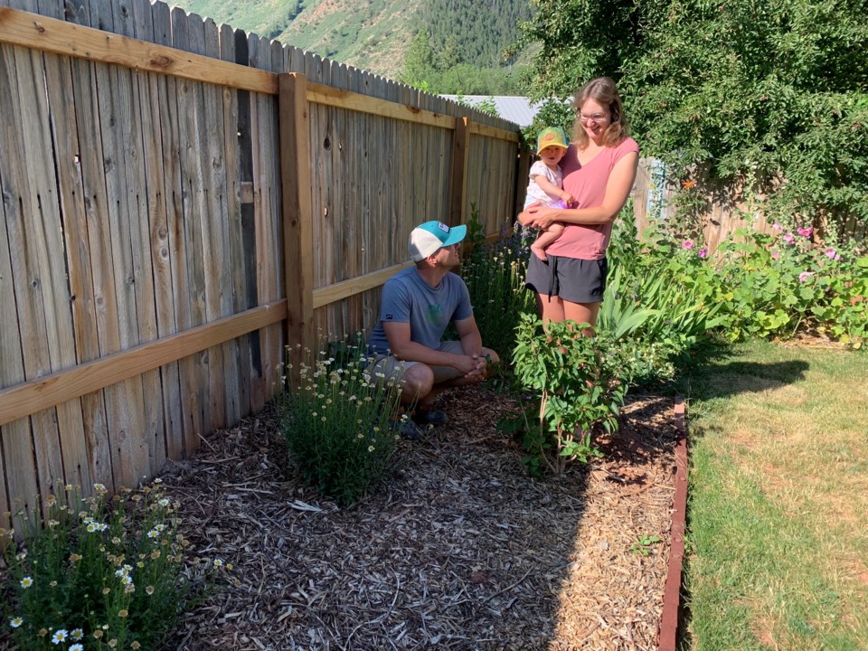glenwood-lawn-2