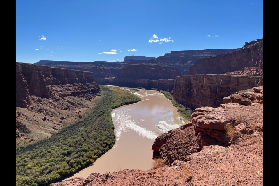 Green River from White Rim Trail :Canyonlands National Park near Moab, UT, Oct 2022/credit: Dave Marston

Writers on the Range