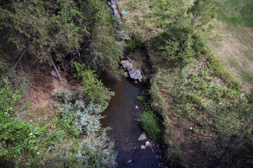 Lakewood Gulch is seen at Paco Sánchez Park on Monday, August 23, 2021, in Denver. 80% of water flow in Denver’s man-made creeks come from local sources of tap water. (Olivia Sun, The Colorado Sun)