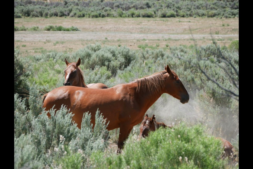 Photos by LUCAS TURNER/Rio Blanco Herald Times
