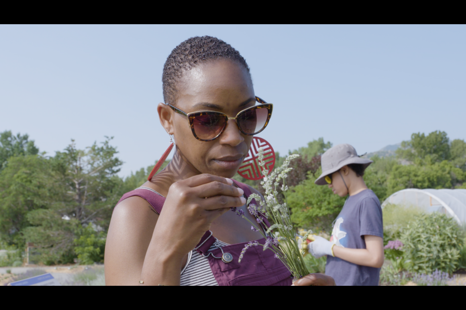 Zephrine smelling lavender and lavandin


Rocky Mountain Public Media