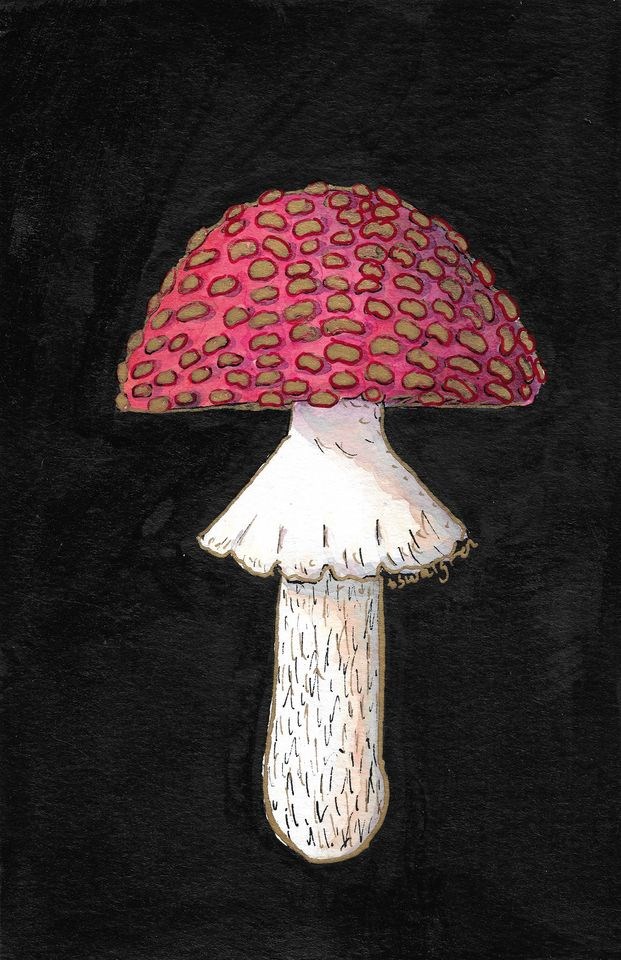 2020_11_07_LL_inktober_Fly Agaric Tara