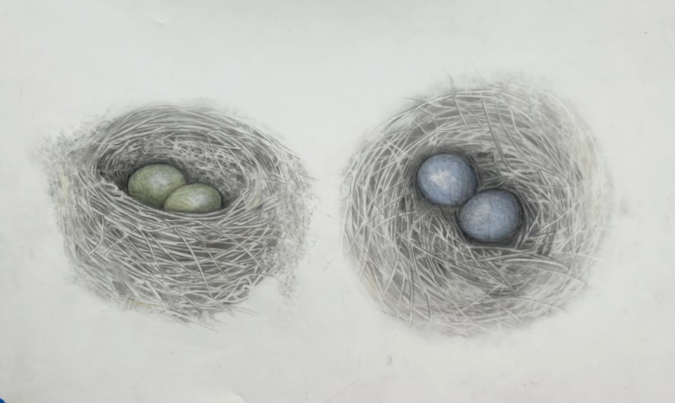 campbell-2nests-graphite-on-mylar