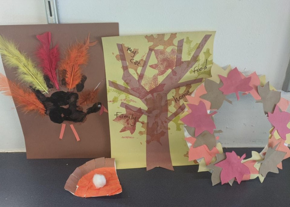 DD Turkeys