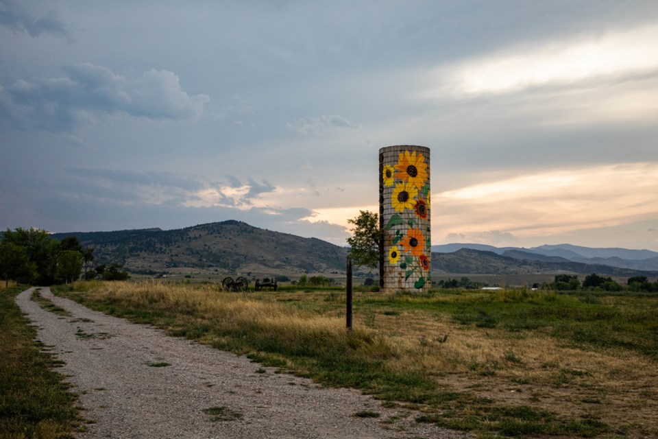 The sunflower silo painted by Don Faast hides amidst the foothills and farmland west of Longmont