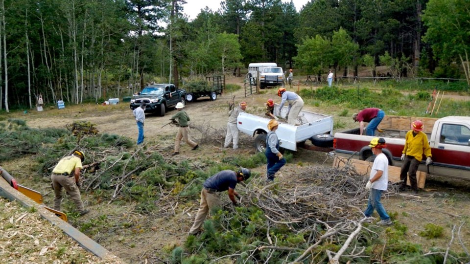 wildfire-mitigation-boulder-county