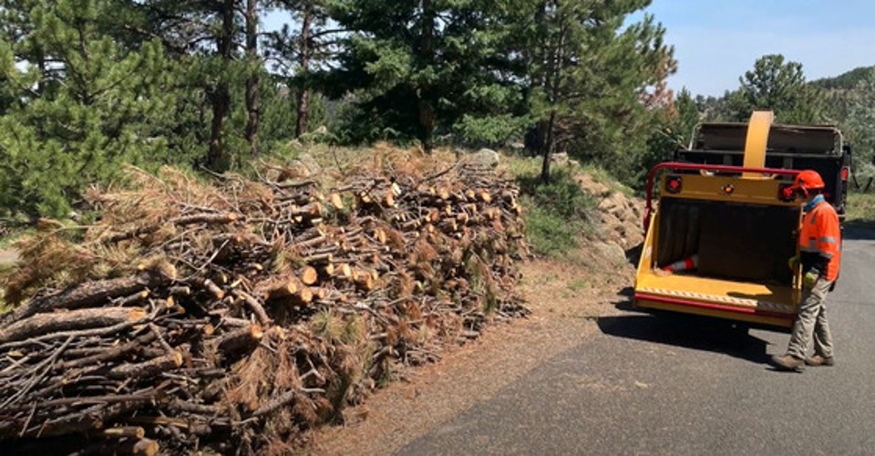 wildfire-risk-reduction