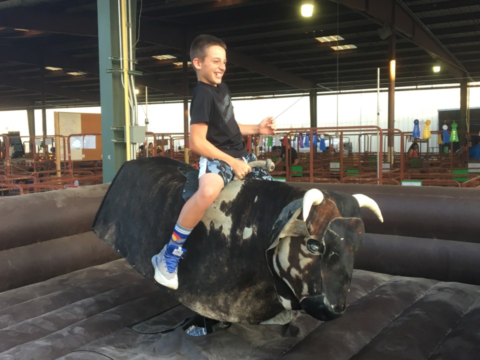 bull rider at boulder county fair