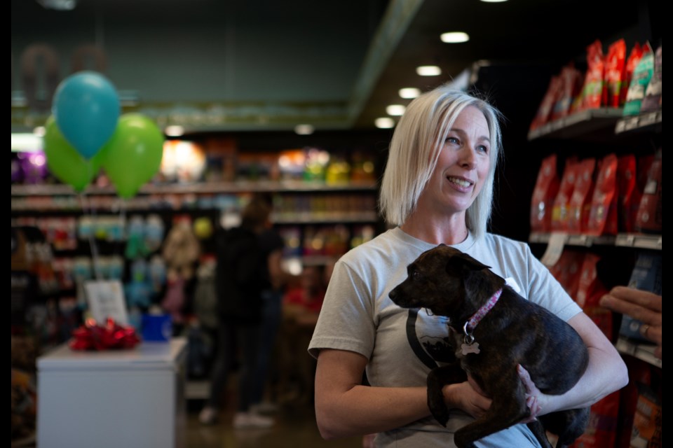 Dee-O-Gee LOCO owner owner Rachel Shannon holds her "grand-pup" Luna while greeting customers on during the Longmont pet store's grand opening on April 1, . Photo by Ali Mai | alimai@msmayhem.com