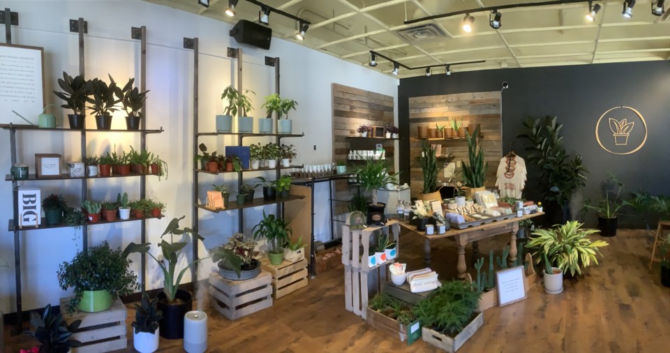 plant-and-other-items-displays-at-the-happy-day-plants-store