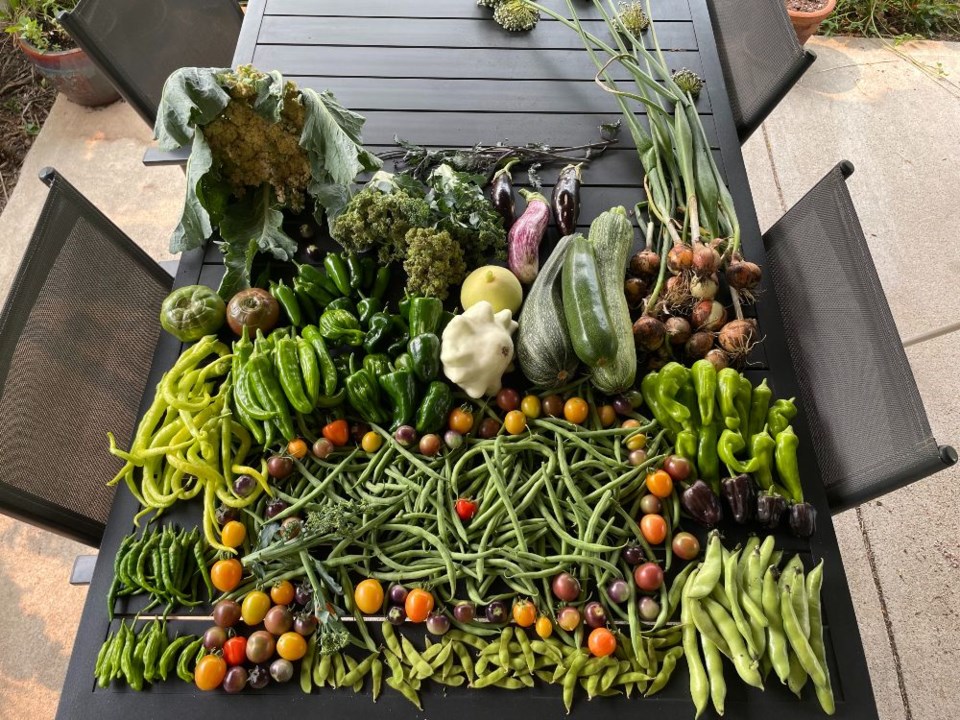 veggies harvest 8_7