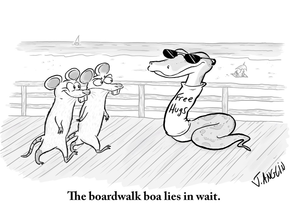 USEDBoardwalk_boa (1)