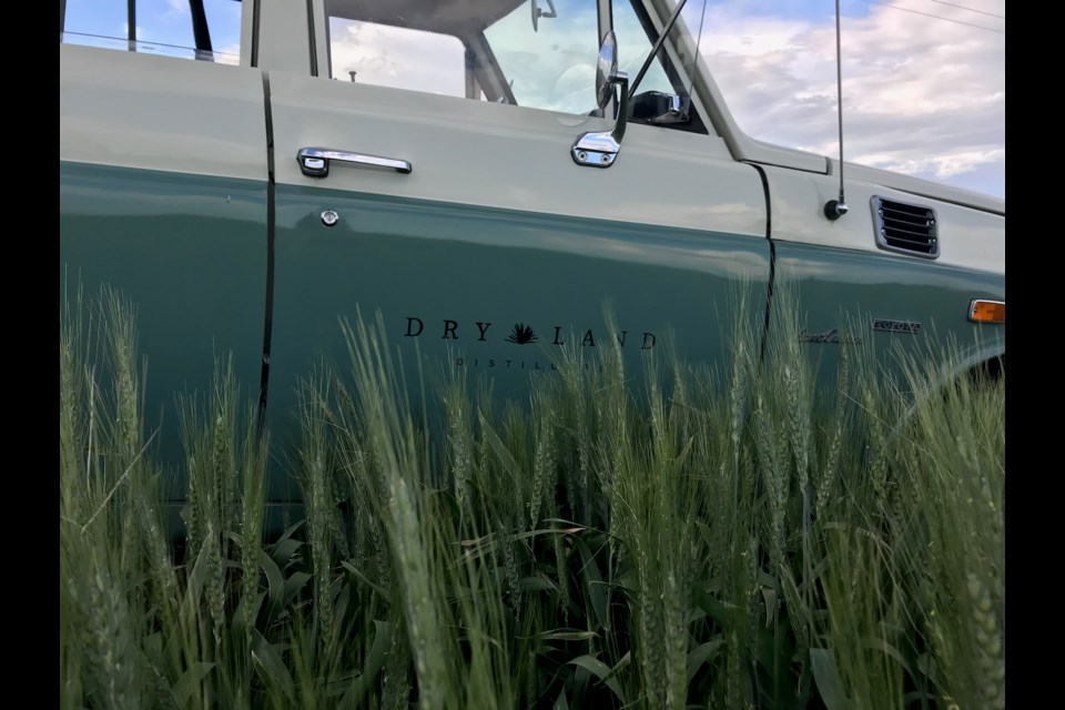 Dry Land's truck in front of the Antero wheat at Arnusch Farms