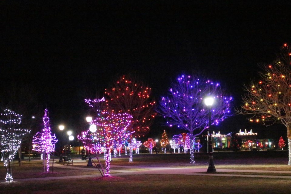 Holiday Lights Longmont
