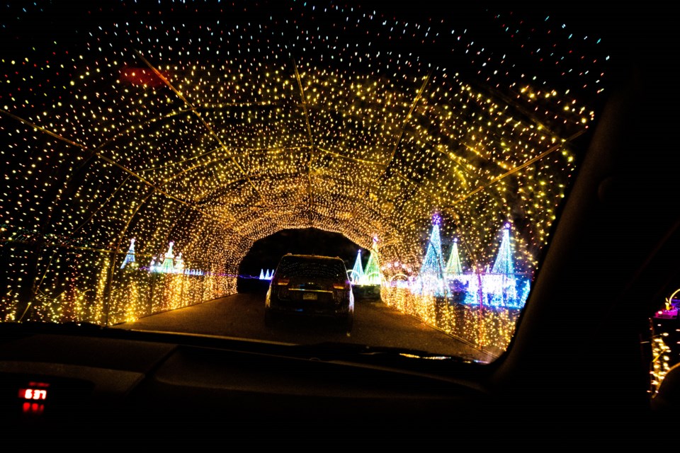 Looking for lights? A few ways to enjoy them in Longmont