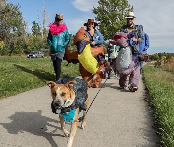 Run, walk or nap for the animals during Humane Society's annual Paws in the  Park furndraiser - The Longmont Leader