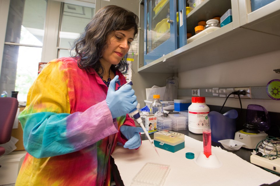 Dr. A. Desiree LaBeaud, an infectious disease physician at Stanford University, travels the world studying mosquito-borne diseases. (Norbert von der Groeben / Stanford School of Medicine)
