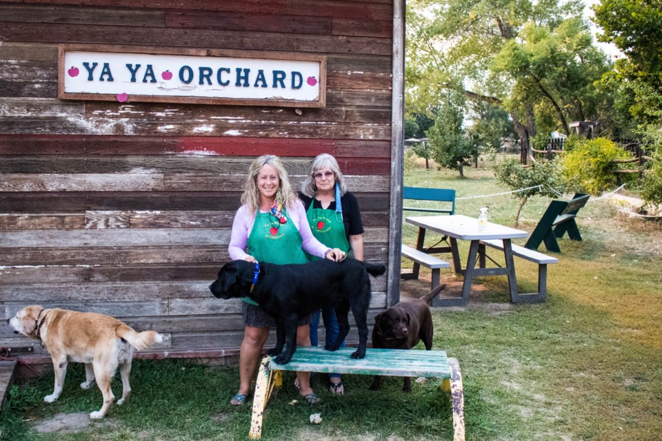 2020_10_01_LL_Ya Ya Orchards_Owner Sharon Perdue and Mother