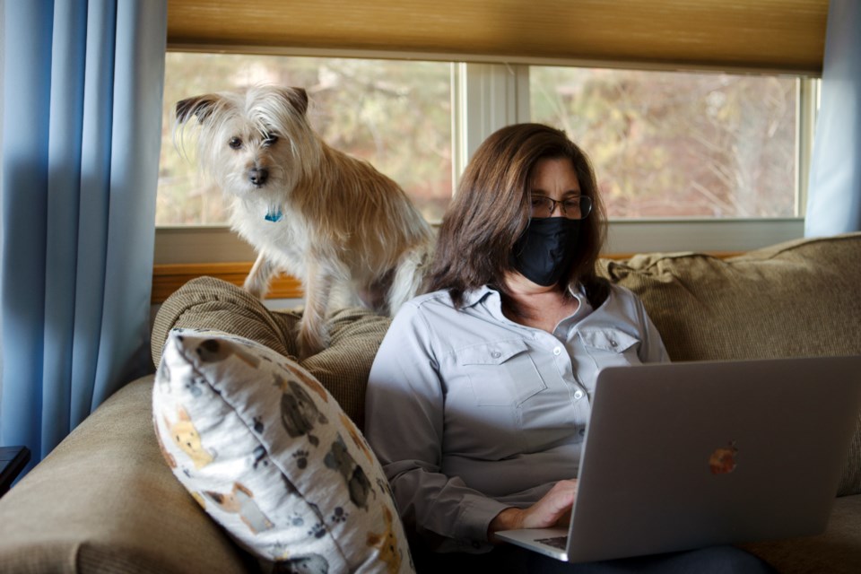 Phaedra Culjak, founder of EatingPost, works from her Longmont home on March 24 with her dog Daisy. Culjak launched the local food online-marketplace last month. Photo by Ali Mai | ali.mai.journo@gmail.com