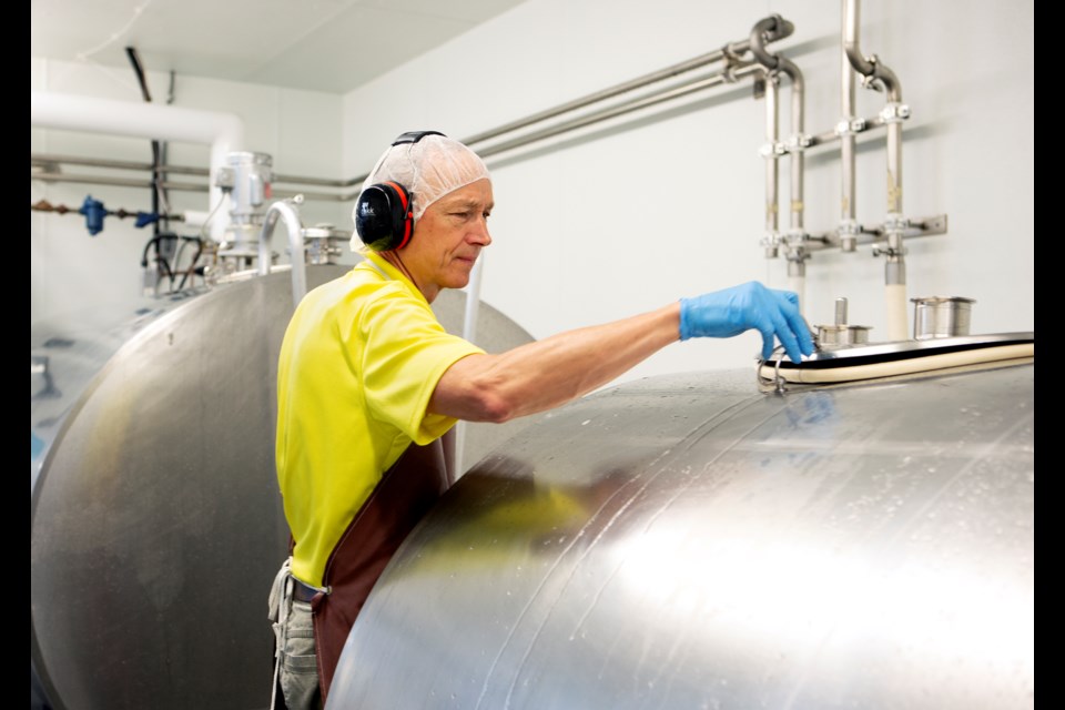 Haystack Mountain Creamery general manager and president Chuck Hellmer checks on tanks at the cheesemaking facility in Longmont on June 14. Photo by Ali Mai | ali.mai.journo@gmail.com