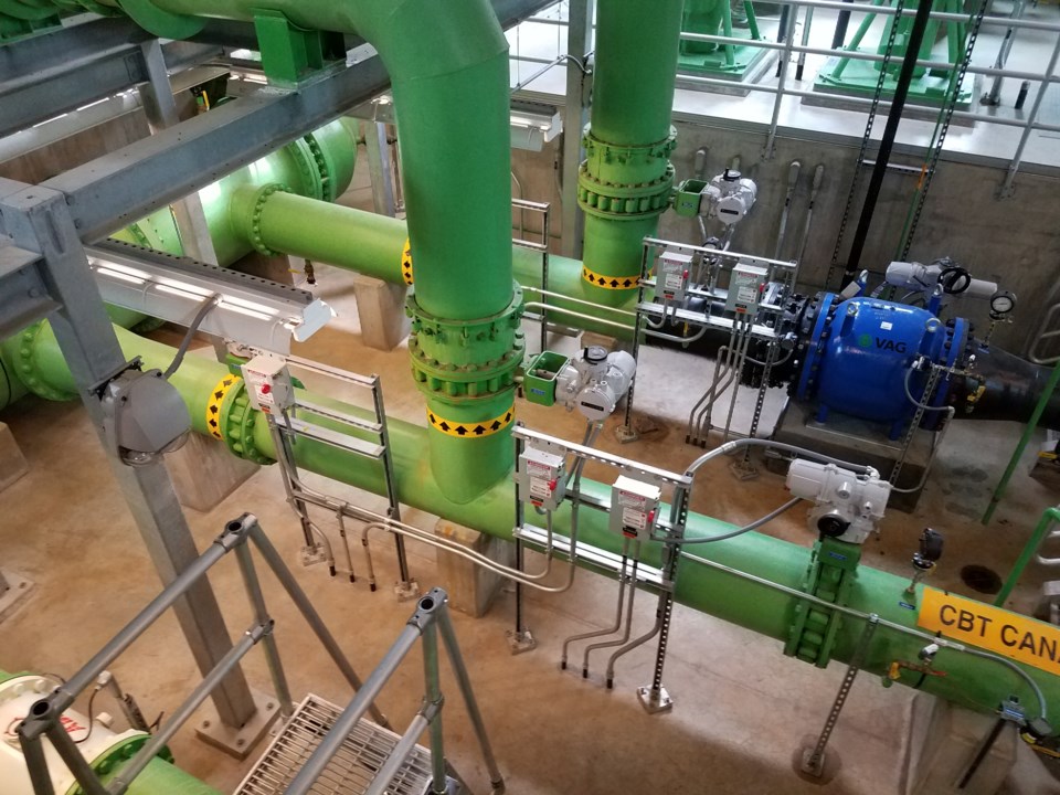 2020_09_22_LL_nelson_fladers_water_plant