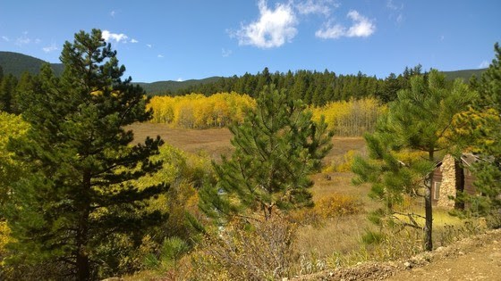 longmontconservationawards