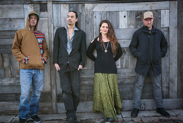 summer concert series
