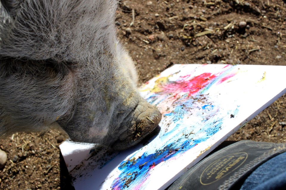 2020_09_23_painting_pig_good_life