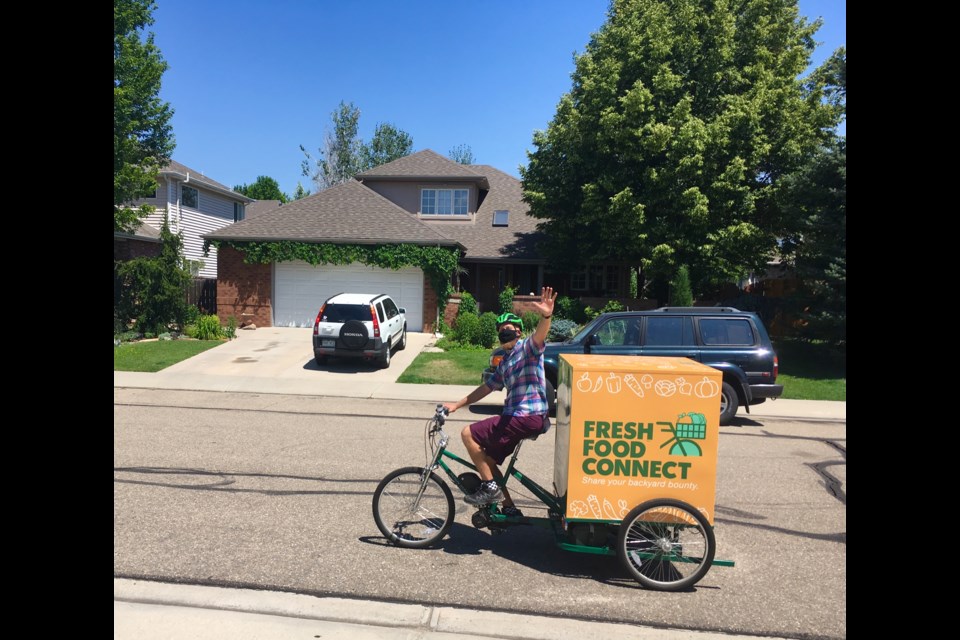 Taylor Replane, bicycle courier with Longmont Food Rescue, summer 2020. 