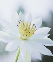 20230918lola-sperra