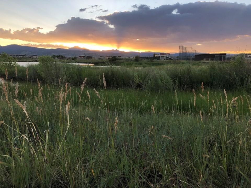 2020_07_08_LL_Dry_Creek_Park_sunset4