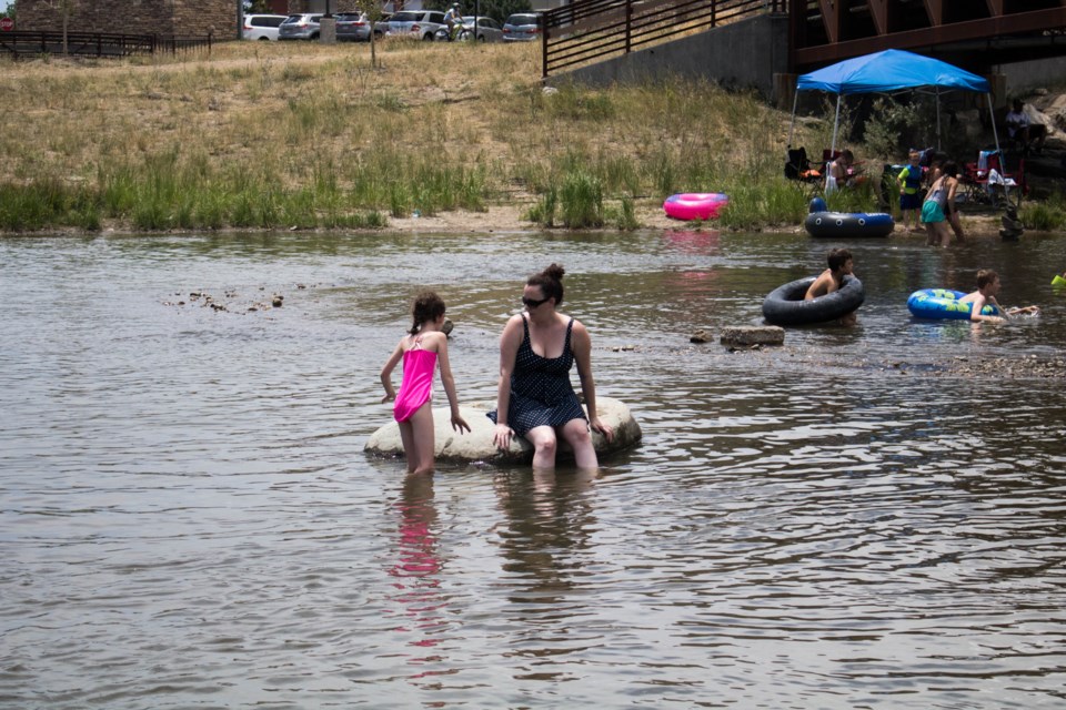 This pair enjoyed the water in the St. Vrain Creek at Dickens Farm Nature Area on July 4, 2020. 
(Photo by Matt Maenpaa)