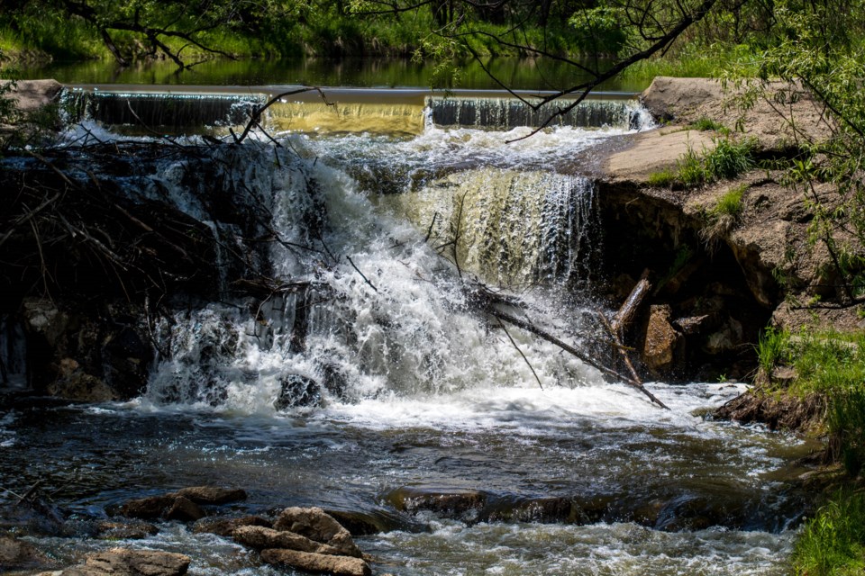 2020_08_20_st_vrain_greenway9