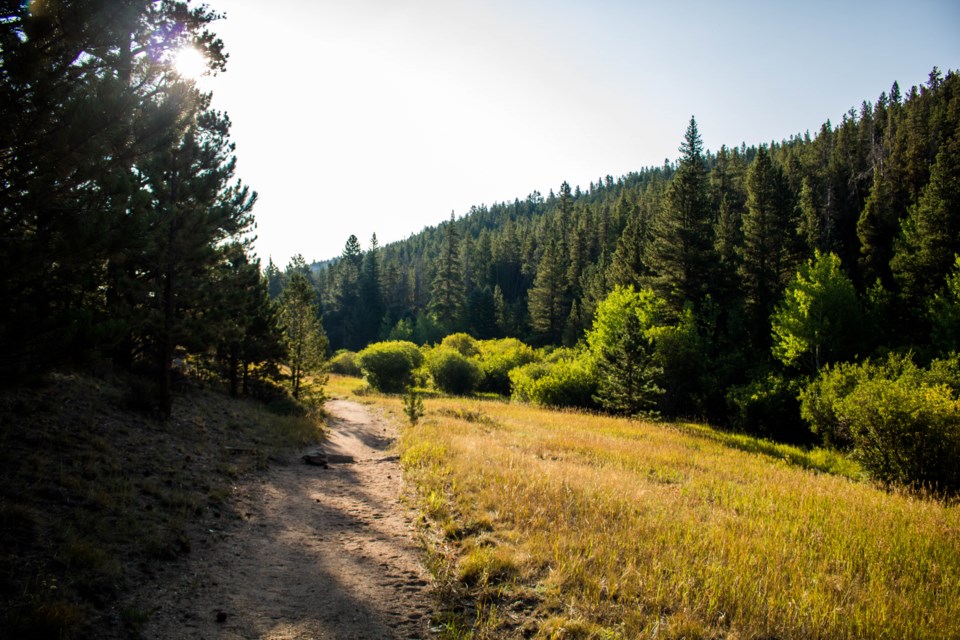 The trail at Homestead Meadows.
(Photo by Matt Maenpaa)(Photo by Matt Maenpaa)