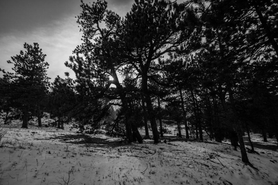 2020_09_24_LL_Outside_snowy_trail