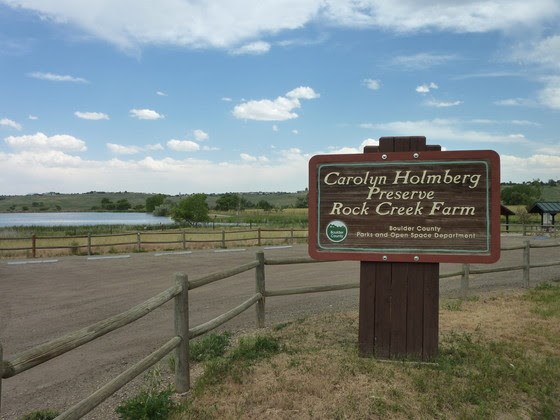 2020_10_21_LL_carolyn_holmberg_preserve_county_provided